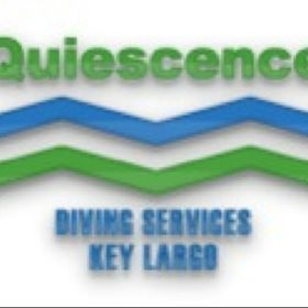 Quiescence Diving Services Inc